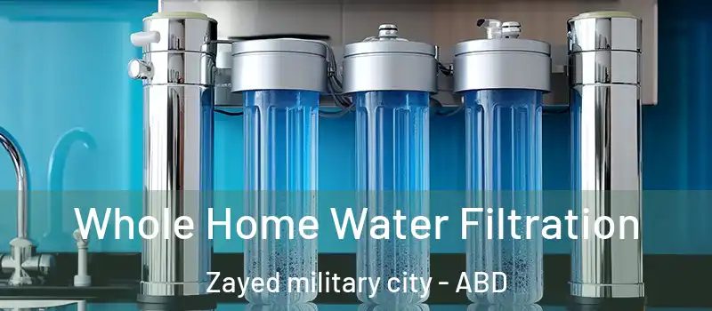  Whole Home Water Filtration Zayed military city - ABD