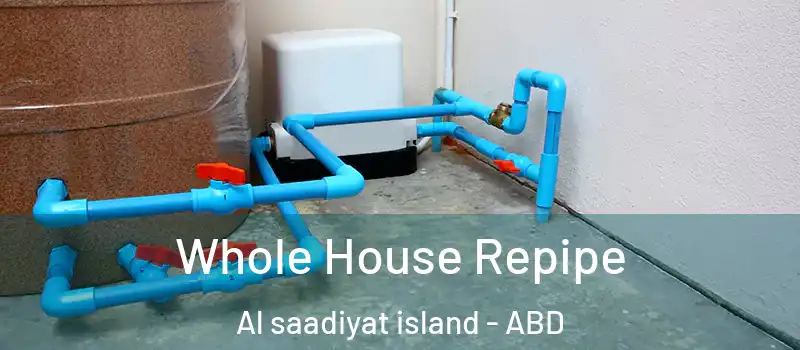  Whole House Repipe Al saadiyat island - ABD
