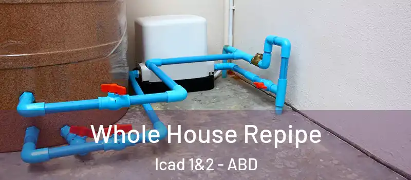  Whole House Repipe Icad 1&2 - ABD