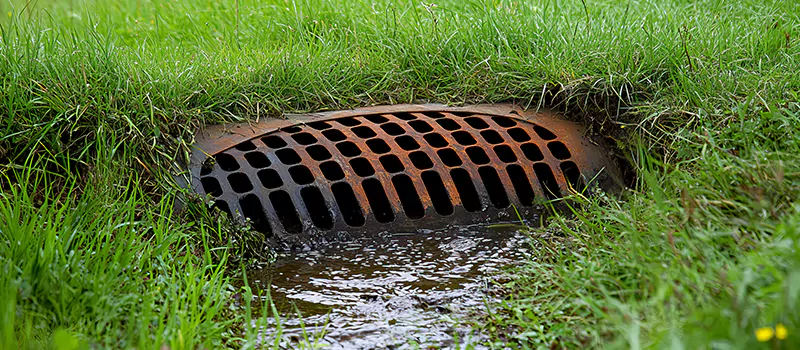 Shower Drain Replacement Services in Abu Dhabi